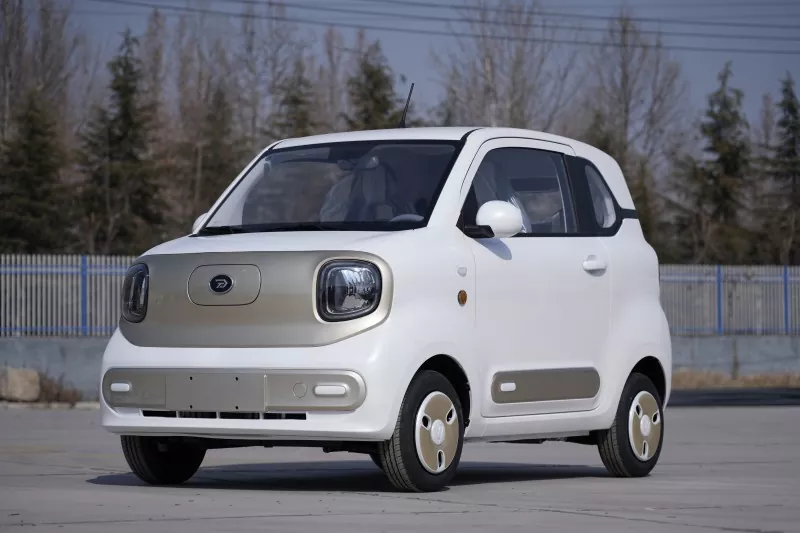 What Makes the EEC COC Electric Mini Car a Smart and Stylish Choice for Urban Commuting?